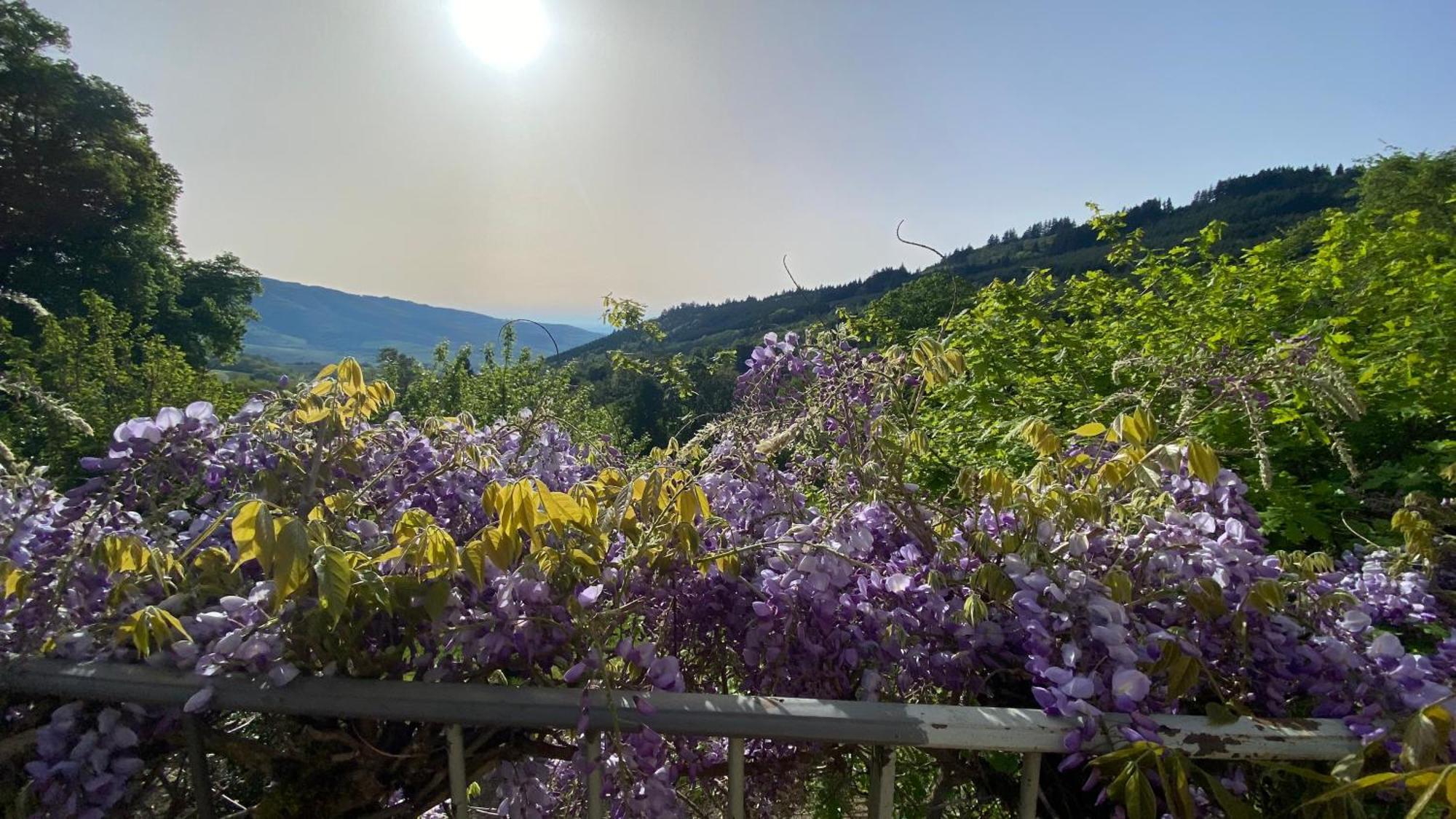 Gite Du Hameau D'Amignie Vernay Dış mekan fotoğraf